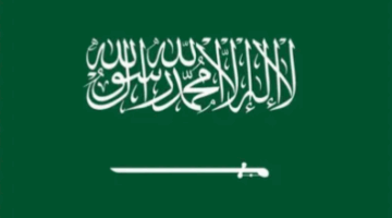الأمم المتحدة تعتمد مقررًا سعوديًّا فرنسيًّا لاستئناف مؤتمر التسوية السلمية للقضية الفلسطينية