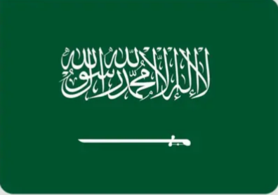 الأمم المتحدة تعتمد مقررًا سعوديًّا فرنسيًّا لاستئناف مؤتمر التسوية السلمية للقضية الفلسطينية