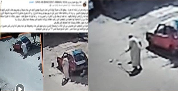 الداخلية تضبط شخصًا اعتدى على كلاب صغيرة في القاهرة