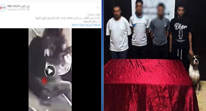 «الميديا فضحتهم».. القبض على المتهمين بتعاطي المخدرات بالعمرانية| فيديو
