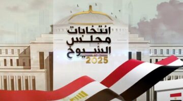 الهيئة الوطنية تعلن عدد المشاركين في جولة الإعادة بـ انتخابات مجلس الشيوخ 2025