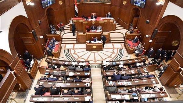 الوطنية للانتخابات: لا طعون فى إعادة انتخابات الشيوخ.. وإعلان النتيجة الخميس