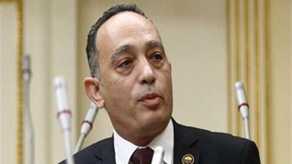 برلماني لوزير التعليم عن البكالوريا: "أولادنا مش فئران تجارب"