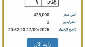 «بـ 425 ألف جنيه».. مزاد علني على لوحة سيارة مميزة