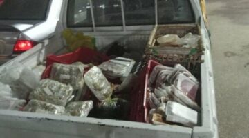 حملات تموين أسيوط تضبط 3 أطنان من لحوم ومنتجات حيوانية فاسدة
