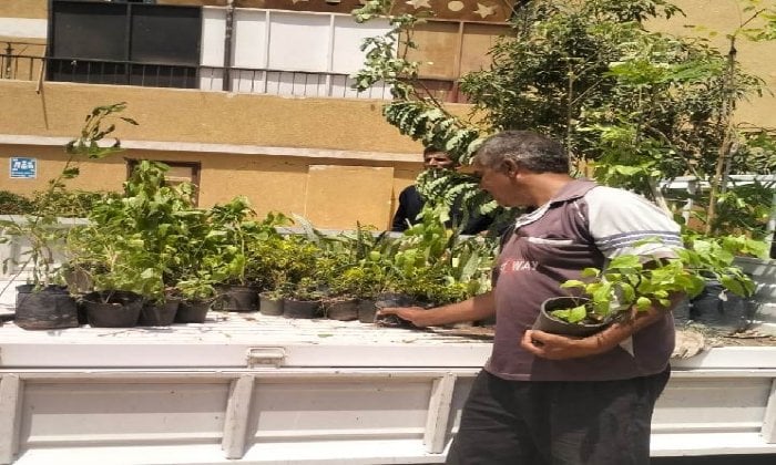 حملات نظافة وتشجير بمدارس أسوان استعدادًا للعام الدراسي الجديد