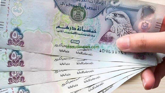 سعر الدرهم الإماراتي مقابل الجنيه اليوم الأحد 21 سبتمبر 2025