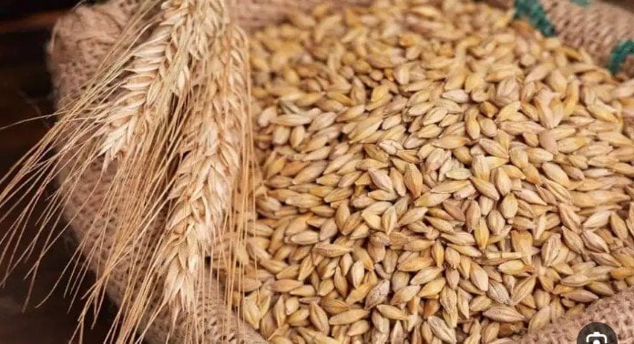 سعر طن الأرز الشعير اليوم الأربعاء 17 سبتمبر 2025