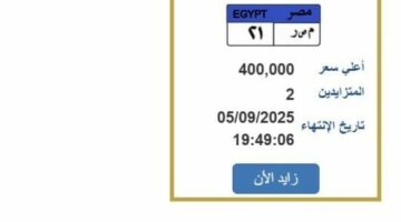 سعرها 400 ألف جنيه.. التزايد على لوحة سيارة مميزة| اعرف الخطوات