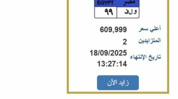 سعرها تخطى 600 ألف جنيه.. خطوات التزايد على لوحة سيارة مميزة