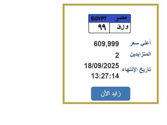 سعرها تخطى 600 ألف جنيه.. خطوات التزايد على لوحة سيارة مميزة