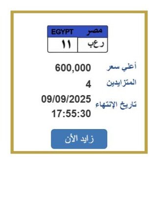 سعرها وصل 600 ألف جنيه.. المزايدة تتصاعد على لوحة سيارة مميزة