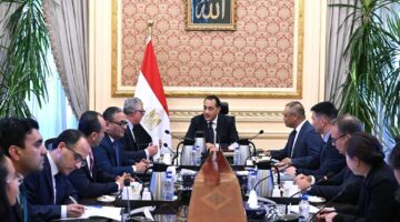 شركة صينية تعتزم نقل أجزاء صناعة الخلايا الشمسية إلى مصر
