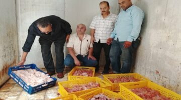 قبل بيعها بالأسواق.. ضبط 550 كيلو دواجن غير صالحة للاستهلاك الآدمي بكفرالدوار