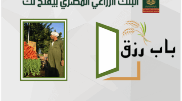 لدعم وتمويل المشروعات متناهية الصغر..  تفاصيل ومزايا “برنامج باب رزق” من البنك الزراعي المصري