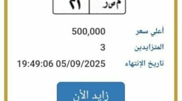 «مصر 21».. مزايدة نارية على لوحة سيارة مميزة