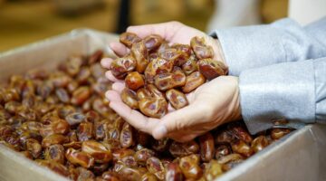 مصر تستحوذ على 44% من واردات إندونيسيا من التمور 
