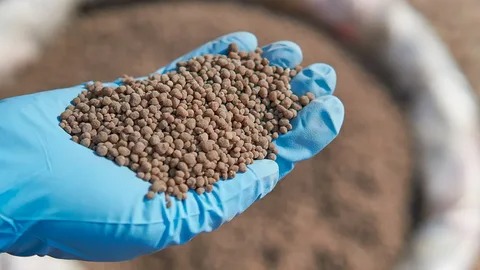 مصر تلزم الشركات بتوريد حصص رئيسية من الأسمدة