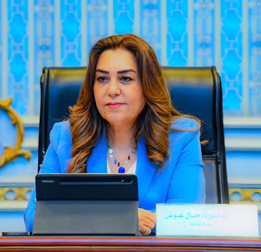 منال عوض: تنفيذ 1653 نشاطًا لوحدات السكان في 25 محافظة و172 ألف مستفيد