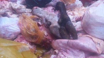 «​إغلاق وتشميع.. حملات تموين المنيا تضبط خبزاً ناقص الوزن ولحوماً فاسدة