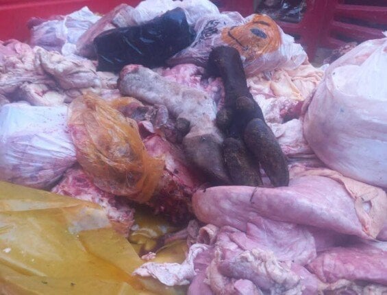 «​إغلاق وتشميع.. حملات تموين المنيا تضبط خبزاً ناقص الوزن ولحوماً فاسدة