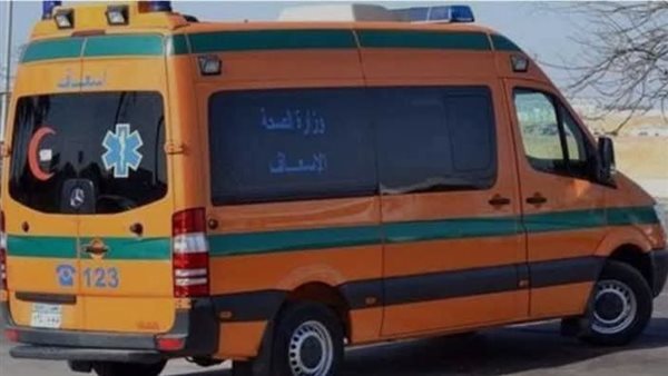 مأساة أسرية تهز قرية الحوارته بالمنيا.. شقيق يقتل شقيقه والأب يرحل حزنًا عليه