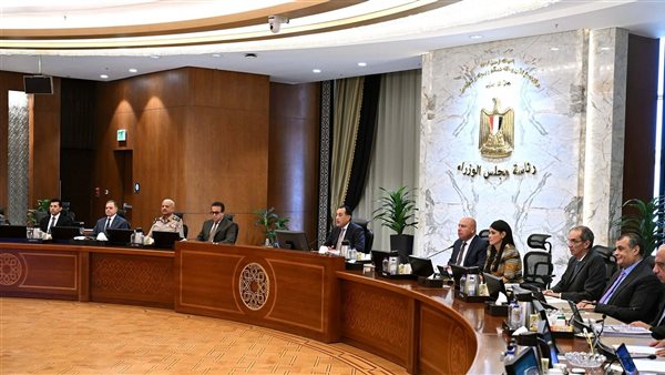 3 قرارات جديدة من مجلس الوزراء.. تعرف عليها