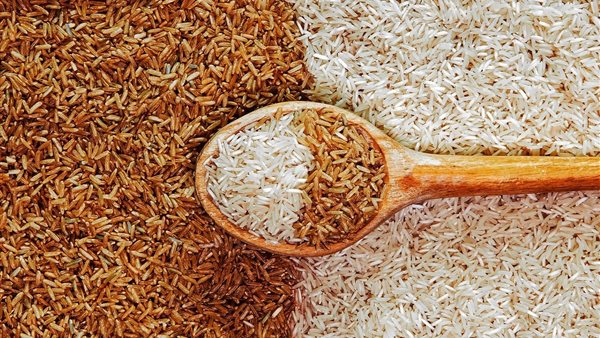 سعر طن الشعير اليوم الجمعة 3-10-2025