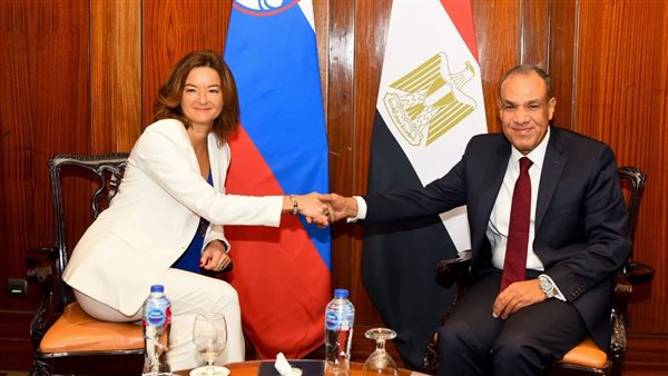 وزير الخارجية يؤكد ضرورة إطلاق مسار سياسى يفضى إلى تنفيذ حل الدولتين