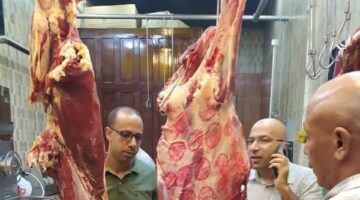 ضبط 185 كيلو لحوم وكبدة وشاورما فاسدة في حملة تفتيشية بالمنوفية