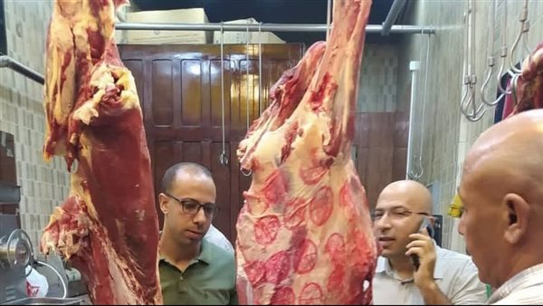 ضبط 185 كيلو لحوم وكبدة وشاورما فاسدة في حملة تفتيشية بالمنوفية