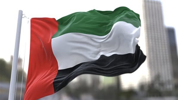 علاقة الإمارات ومصر نموذج يحتذى به في العلاقات الدولية