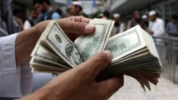 سعر الدولار اليوم.. تحديثات الأسعار وتأثيرها على السوق المحلي
