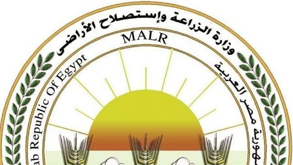 “الزراعة” تنشر الخريطة الصنفية لمحصول القمح في الموسم الجديد