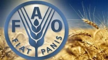 انخفاض أسعار السكر والألبان عالمياً وارتفاع قياسي جديد لأسعار اللحوم
