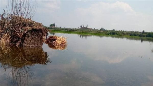 محافظ الغربية ترفع حالة الطوارئ على ضفاف النيل وتوجه المواطنين بإخلاء الأراضي