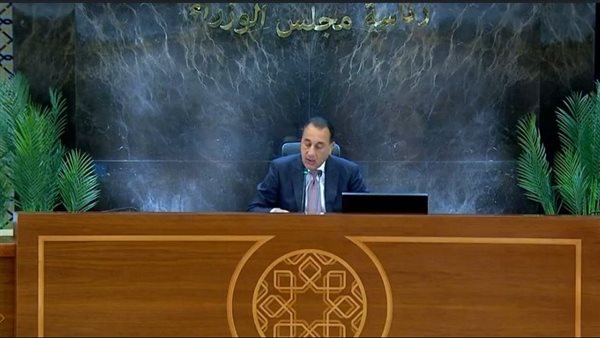 مصر لن تنجر لأية خطوات تهدد أمنها.. ودعمنا لغزة مستمر