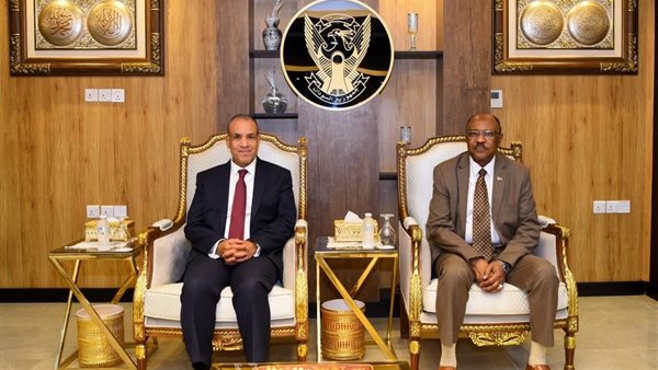 مصر والسودان تؤكدان رفضهما التام للإجراءات الأحادية فى نهر النيل