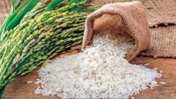 بكام سعر طن الأرز الشعير اليوم السبت 4 أكتوبر