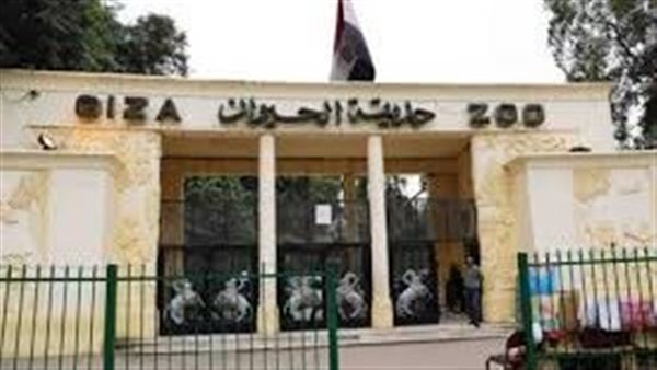خلاص هانت.. موعد افتتاح حديقة الحيوان بالجيزة للمواطنين ومفاجأة في سعر التذكرة