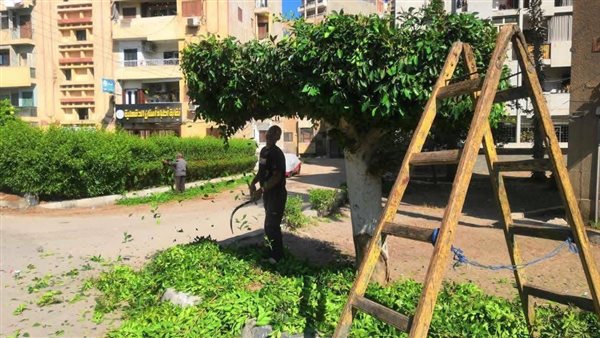 رفع 455 طن قمامة بالمنصورة وطلخا.. استمرار حملات النظافة 24 ساعة في الدقهلية (صور)