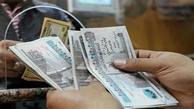 دون عناء.. رابط استعلام عن تكافل وكرامة 2025 بالرقم القومي لجميع المستفيدين بسهولة