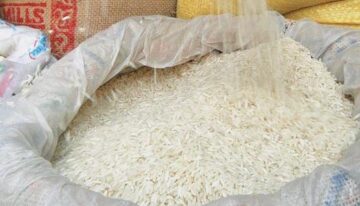 الطن الرفيع بكام.. سعر طن الأرز الشعير اليوم في مصر وتحديث حركة السوق