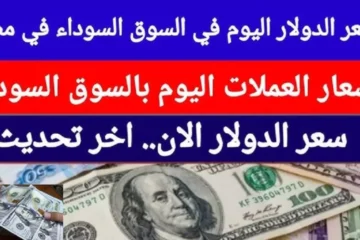 سعر الدولار اليوم في السوق السوداء والبنوك الجمعة 21 / 11 / 2025 تحديثات فورية لحركة العملة الأمريكية