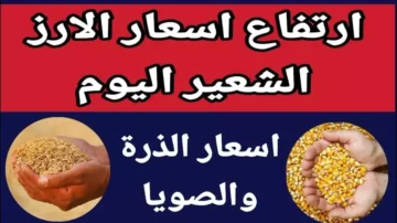 الأردب بكام؟ .. ارتفاع سعر طن الأرز الشعير اليوم في مصر وزيادة جديدة في الأسواق المحلية