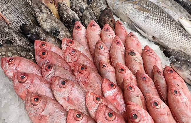 تحديث أسعار السمك اليوم في مصر الخميس 6 نوفمبر 2025 داخل سوق العبور