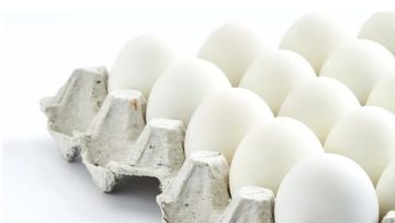 عاجل.. سعر كرتونة البيض اليوم للمستهلك في الأسواق المصرية