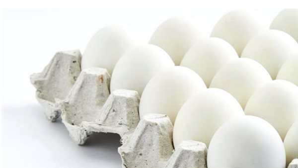 عاجل.. سعر كرتونة البيض اليوم للمستهلك في الأسواق المصرية