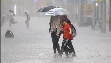 عاجل.. عاجل.. حالة الطقس اليوم الجمعة 12-12-2025.. شبورة صباحية وأمطار متفاوتة