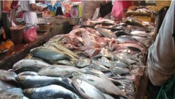 عاجل.. الاستهلاك بالصيف أعلى.. شعبة الأسماك تكشف سر عدم انخفاص الأسعار